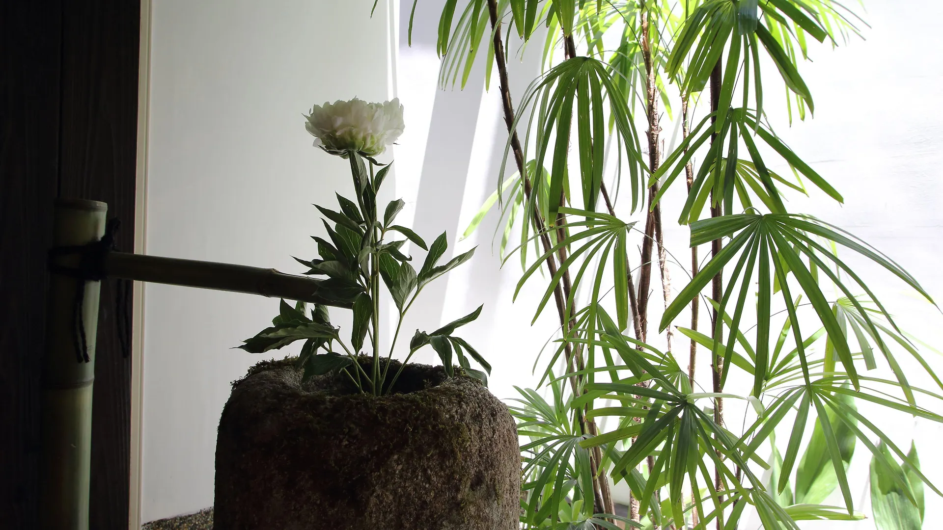 Luck You Kyoto 3*,  Japon